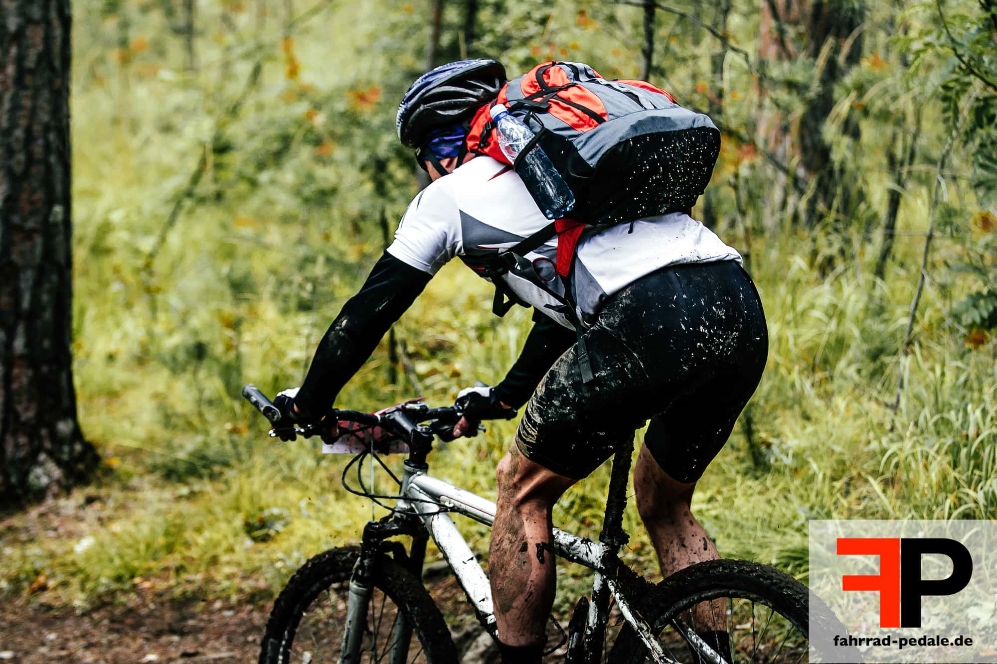 Die FahrradPedale knacken und knarzen Was tun?