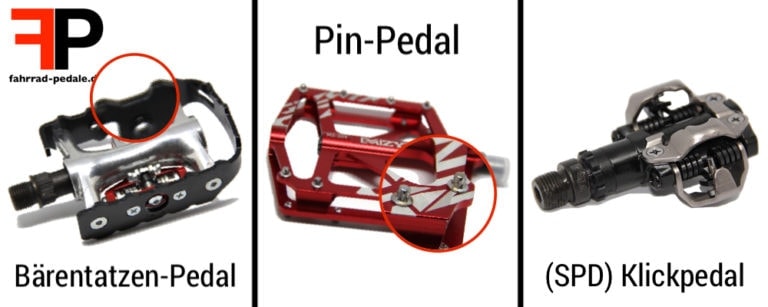 unterschied bärentatzen pin pedal klickpedal